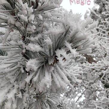 Winter Magic – A6 hoch